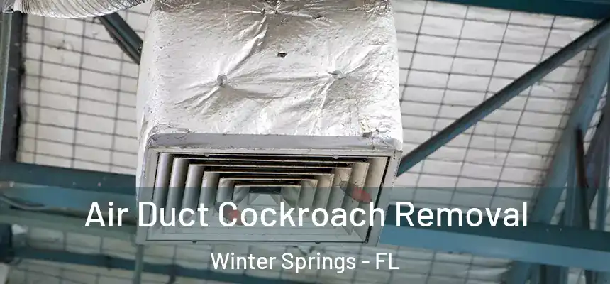 Air Duct Cockroach Removal Winter Springs - FL
