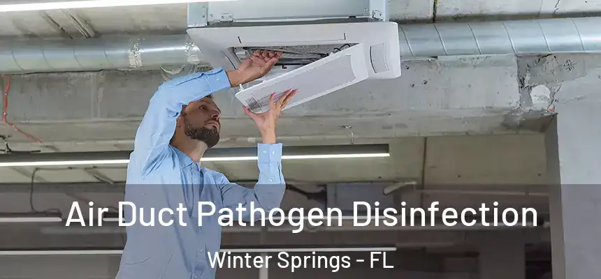 Air Duct Pathogen Disinfection Winter Springs - FL