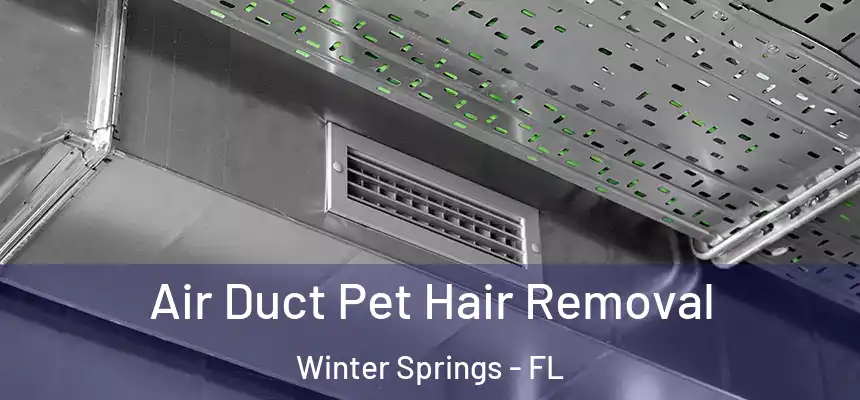  Air Duct Pet Hair Removal Winter Springs - FL