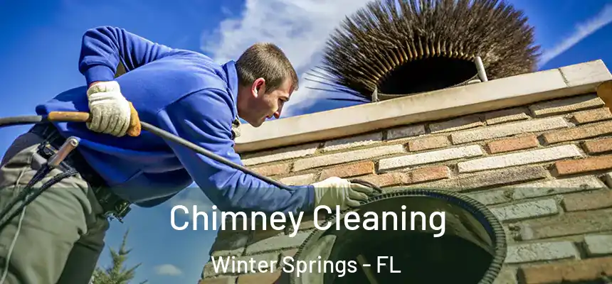 Chimney Cleaning Winter Springs - FL