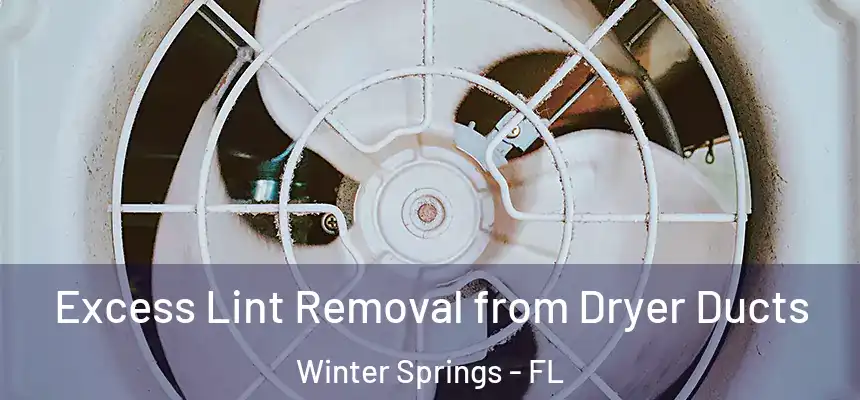 Excess Lint Removal from Dryer Ducts Winter Springs - FL