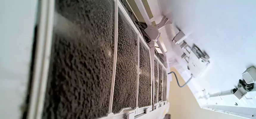 Preventive Air Duct Bacteria Removal in Winter Springs