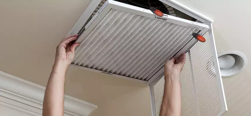 Preventive Cockroach-Proofing for Ducts in Winter Springs