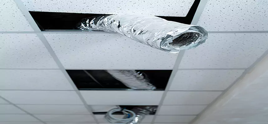 Affordable HVAC Sanitizing After Pest Removal in Winter Springs