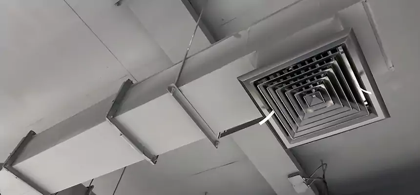 Our Rodent Droppings In Vents Services in Winter Springs, FL