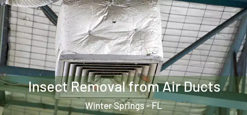  Insect Removal from Air Ducts Winter Springs - FL