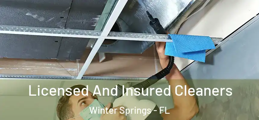 Licensed And Insured Cleaners Winter Springs - FL