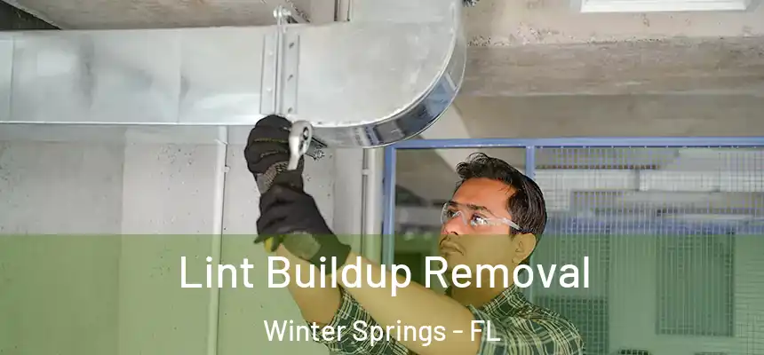 Lint Buildup Removal Winter Springs - FL
