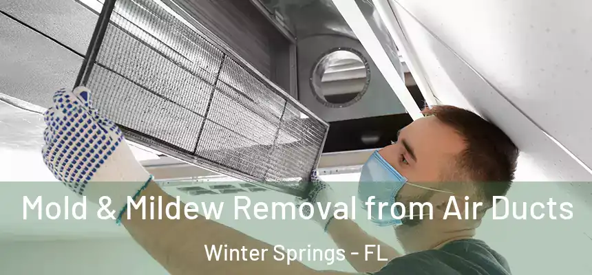 Mold & Mildew Removal from Air Ducts Winter Springs - FL