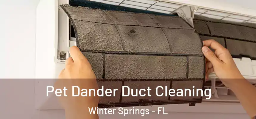 Pet Dander Duct Cleaning Winter Springs - FL