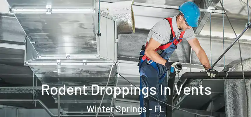 Rodent Droppings In Vents Winter Springs - FL