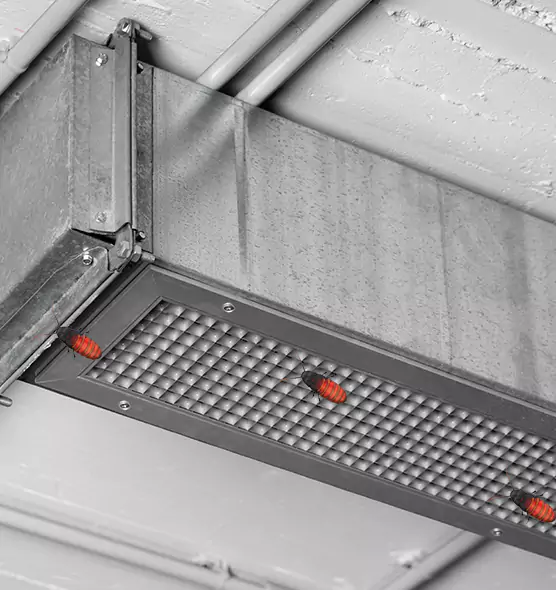 About Air Duct Cockroach Removal in Winter Springs, FL