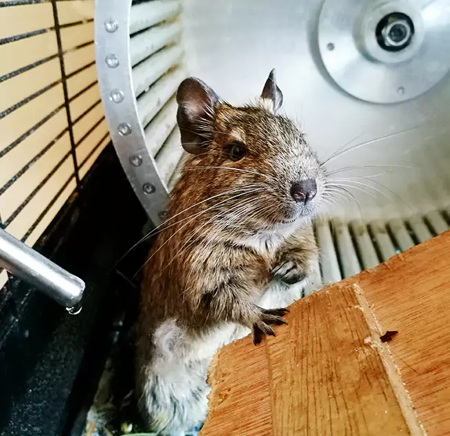 Why Homeowners & Businesses Trust Us Winter Springs, FL