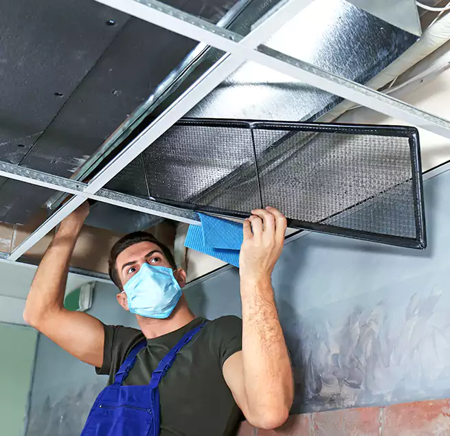 Why Homeowners Businesses Trust Us in Winter Springs, FL