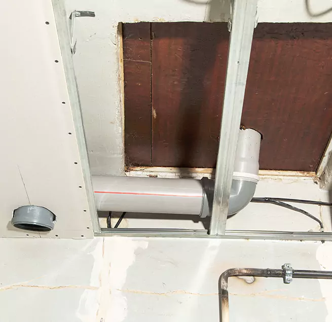 Why Homeowners & Businesses Trust Us in Winter Springs, FL?