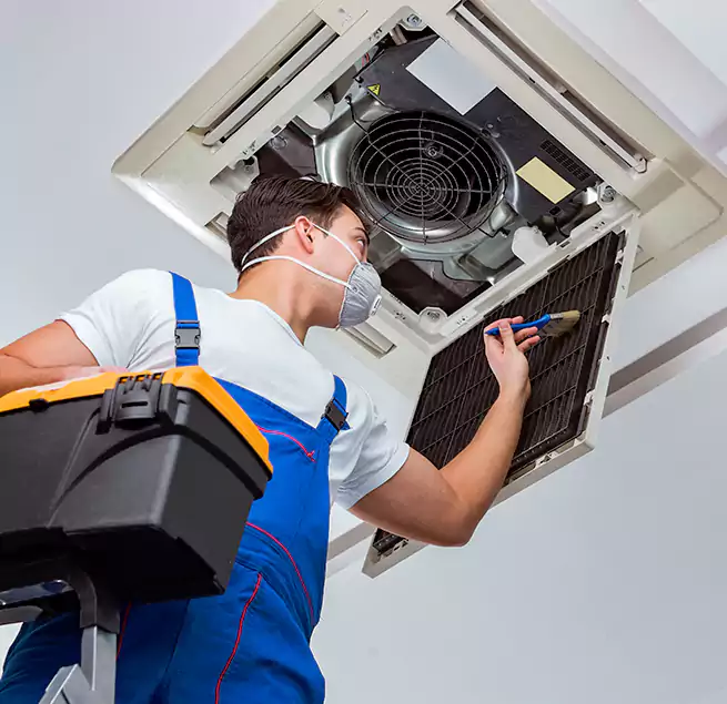 Why Homeowners & Businesses Trust Us in Winter Springs, FL