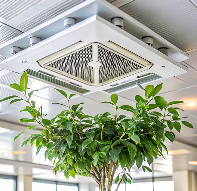 Why Homeowners & Businesses Trust Us in Winter Springs, FL?