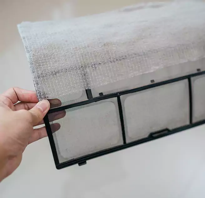 Why Homeowners & Businesses Trust Us in Winter Springs, FL?