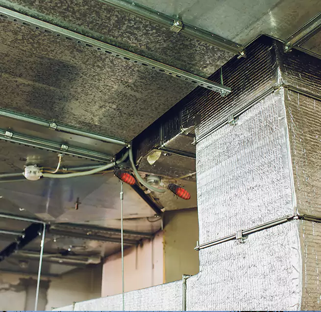 Why Homeowners & Businesses Trust Us Winter Springs, FL?